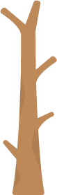 Trunk 2